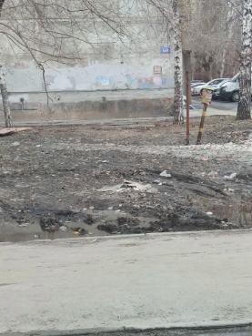 Фото Новосибирцы массово делятся фото грязного города. ОНЛАЙН 12